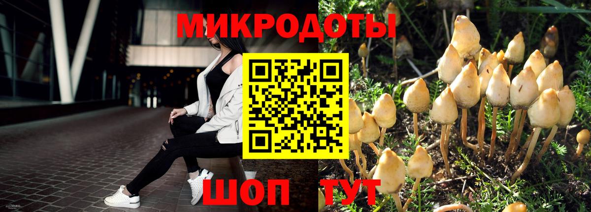 Галлюциногенные грибы Psilocybine cubensis  Вход с VPN  Анжеро-Судженск 