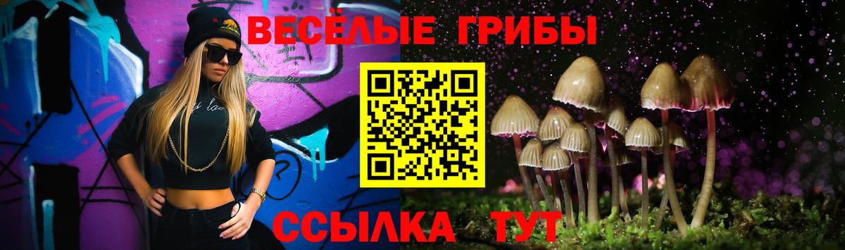 Псилоцибиновые грибы прущие грибы Анжеро-Судженск